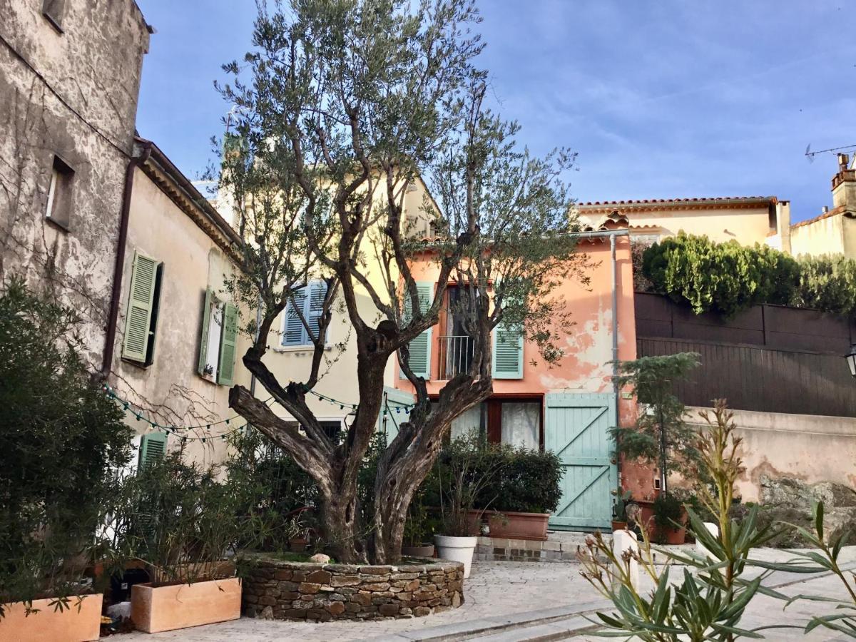 Appartement Ravissant Climatise Gambetta Misericorde Au Coeur De *